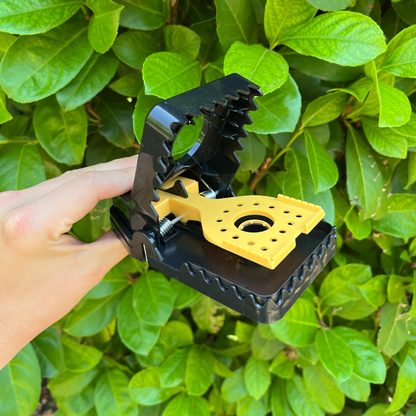 PACK COMBO DE 10: RATS + SOURIS