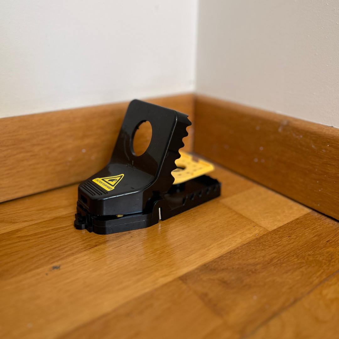 PACK DE 4 : PIÈGES À RATS