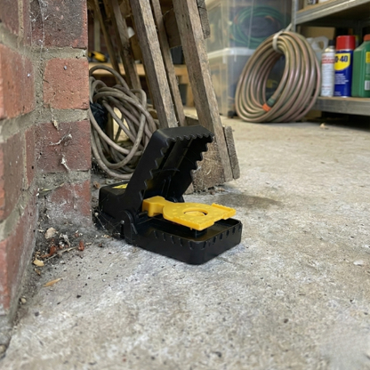 Kit Forteresse Rats (x4) - Pièges Haute Tension Sécurisés