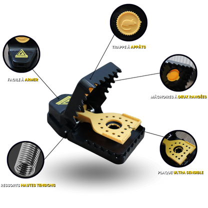 PACK COMBO DE 10: RATS + SOURIS