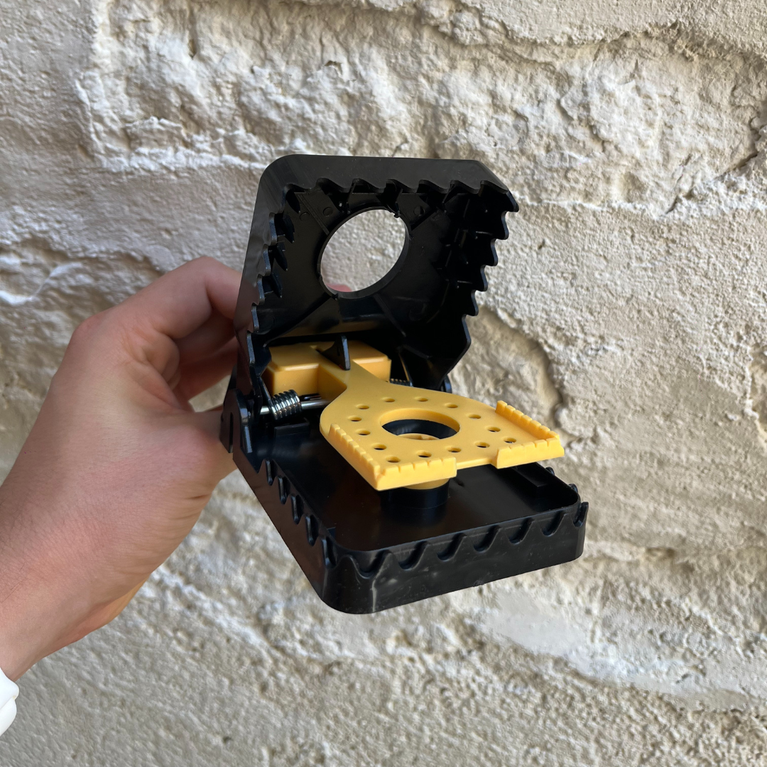 PACK DE 4 : PIÈGES À RATS