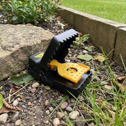 Kit Forteresse Rats (x4) - Pièges Haute Tension Sécurisés