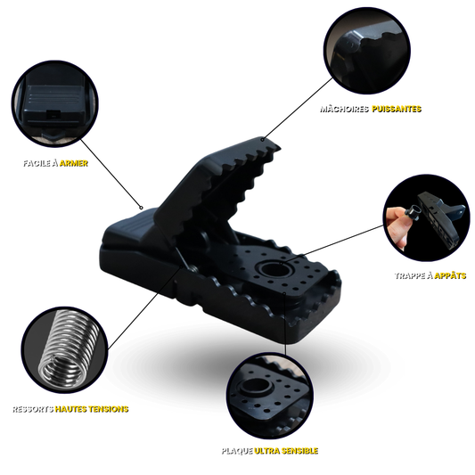 PACK DE 6 : PIÈGES À SOURIS