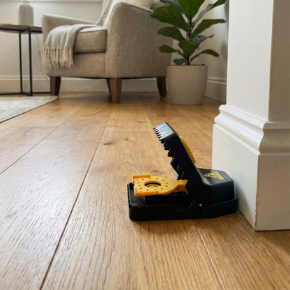 Kit Forteresse Rats (x4) - Pièges Haute Tension Sécurisés