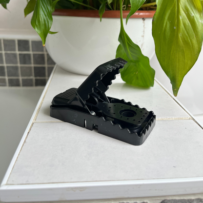 PACK DE 6 : PIÈGES À SOURIS